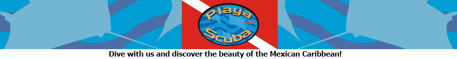 PlayaScuba.com