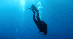 Go dive! with PlayaScuba