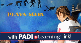 Learn scuba diving with Playa Scuba